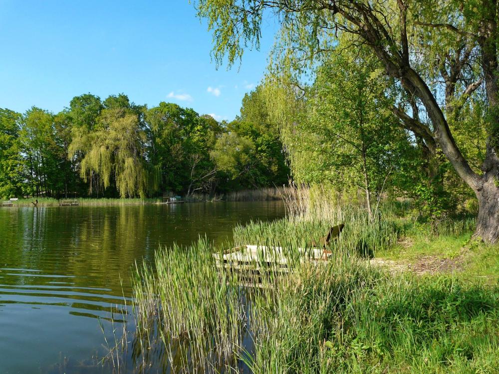 A Lőrintei-tó látképe